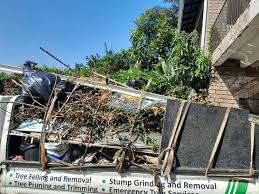 Best Demolition Debris Removal  in Meridian, TX